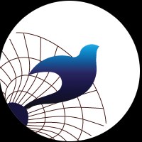 Spirinova Technologies Avatar