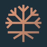 Root Concepts Avatar