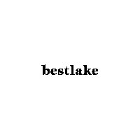 Bestlake LLC Avatar