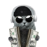 RichCat Productions Avatar