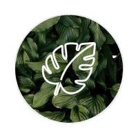 The Growth Collective Co. Avatar