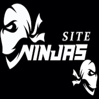 Site Ninjas Digital Avatar
