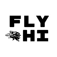 FlyHi Studio Avatar