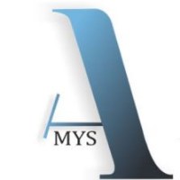 AMYS USA Avatar