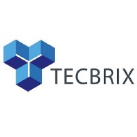 TecBrix Avatar