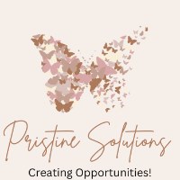 Pristine Solutions Avatar