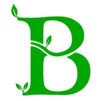 Baboolsoft Avatar