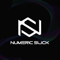NumericSlick Avatar
