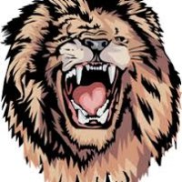 THE LION Agency Avatar