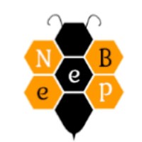 Nepbee Technology Avatar