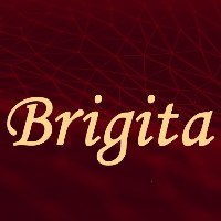 Brigita Private Limited Avatar