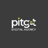 PitGet Digital Agency Avatar