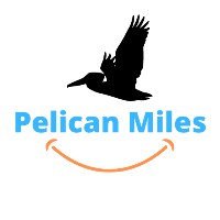 Pelican Miles - Stellar Quality Tasks At Agility Avatar