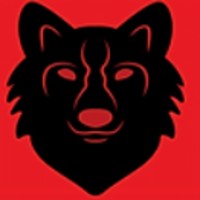 Amers Solutions Avatar