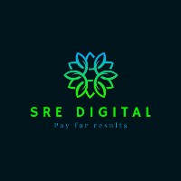 SRE Digital Visionary Ventures Avatar