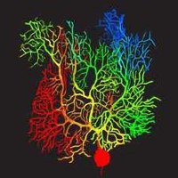 Analytic Insights Group Avatar