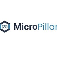 MicroPillar Avatar