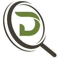 DIGITALINER Avatar