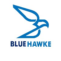 Blue Hawke Avatar