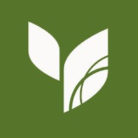 Evergreen Digital Marketing Avatar