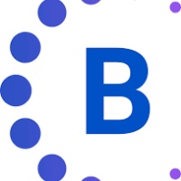 Bright Techies  LLC Avatar