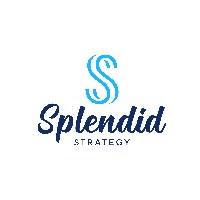 Splendid Strategy Avatar