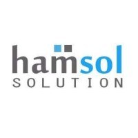 Hamsol  Avatar
