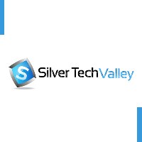 Silvertechvalley l Pakistan Avatar