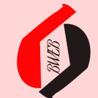 Bigael Web Design and Social Marketing Avatar