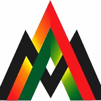 AAM Express Network Avatar