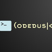 CodeDusk Avatar