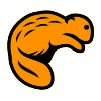 BoberIT Avatar