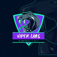 Viper Labs Development Avatar