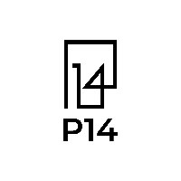 P14 Inc Avatar