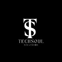 Techsoul Solutions Avatar