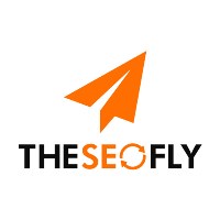 The SEO Fly Avatar