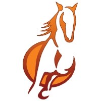 Stallion : Design | Development | Management Avatar