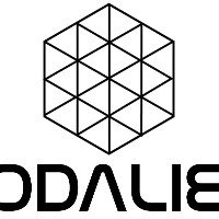 Codalien Technologies Pvt Ltd Avatar