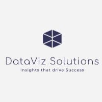 DataViz Solutions | Upwork Company Profile - Hire Today