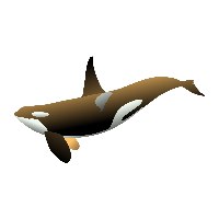 Business Whale Club Avatar