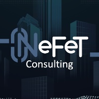 NeFeT Consulting Avatar