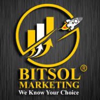 Bitsol Avatar