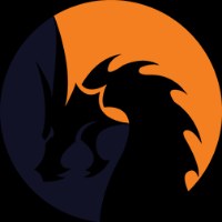 Dragon Coders Pvt.Ltd