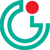 Golden Infotech BD Avatar