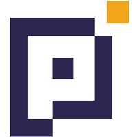 Pageindux Technologies Avatar