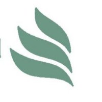 TYPEcal Avatar