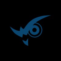 Wise Vision Group LTD