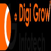Digi Grow Infotech Avatar