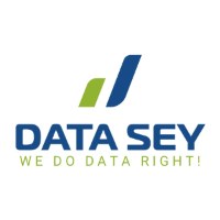 Datasey Web Design and SEO  Avatar