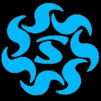 Skyway Softech Avatar